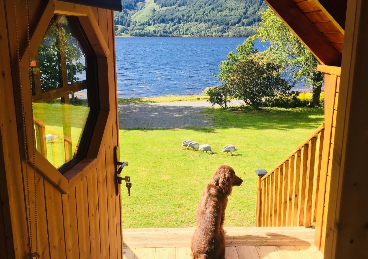 Seal Point - Luxury Glamping Cairndow